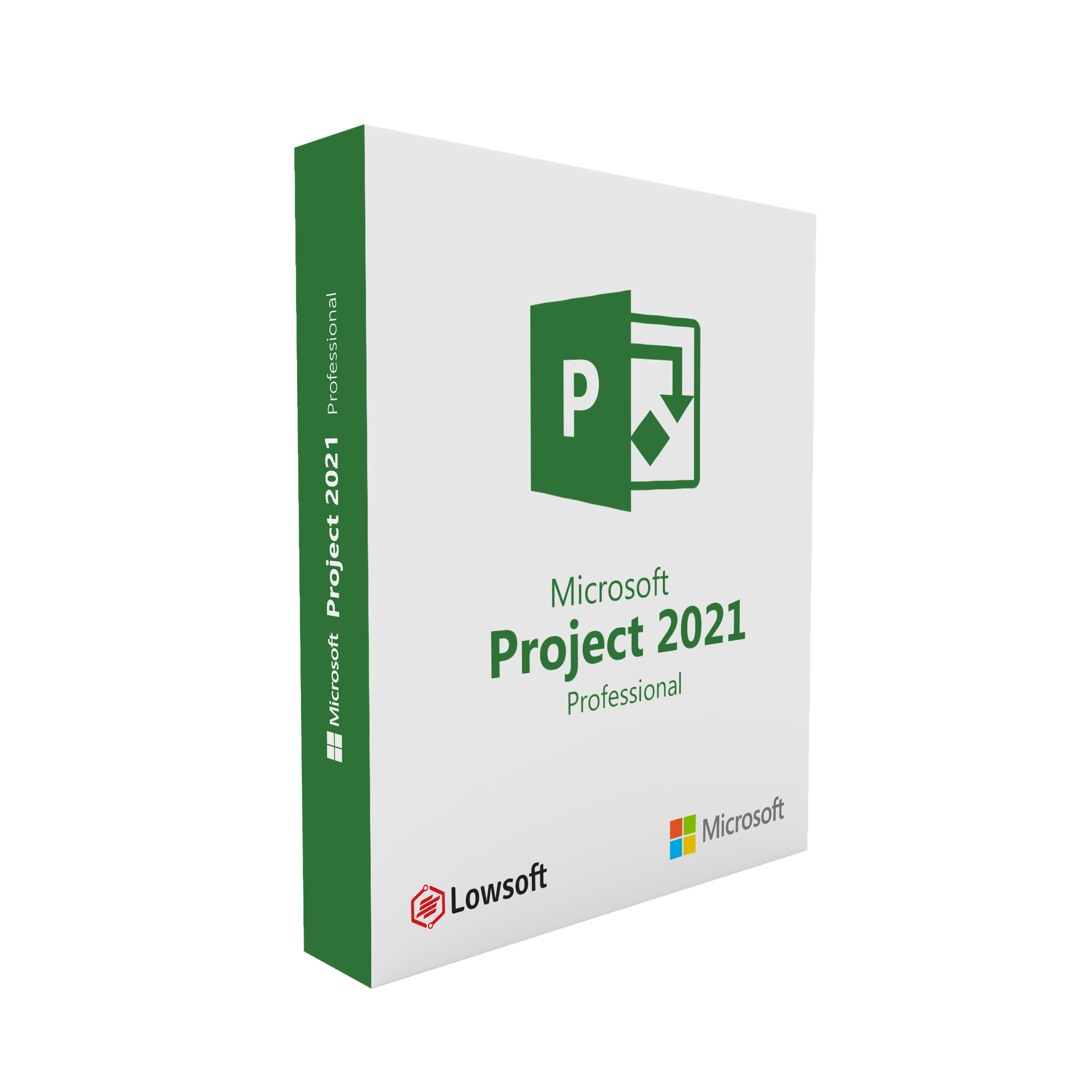 Microsoft Project Professionnel 2021